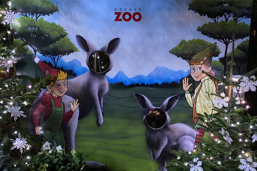 OdenseZoo Case3 1000x668px