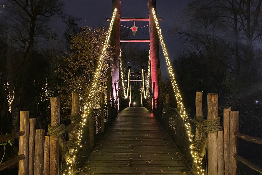 OdenseZoo Case6 1000x668px